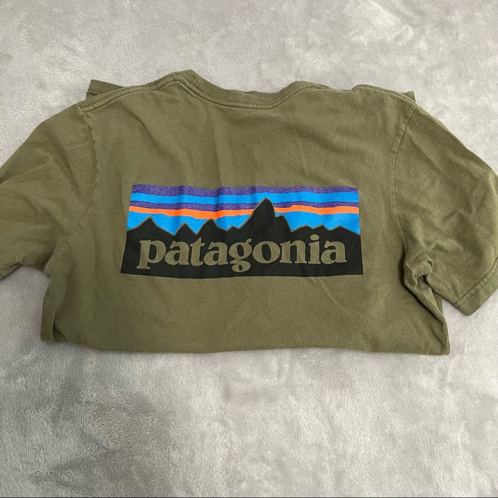 Patagonia Tee